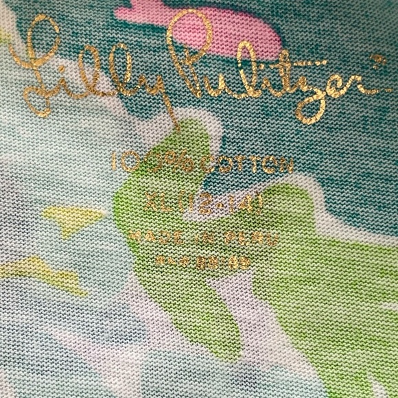 LILLY PULITZER LYNN GIRLS T SHIRT DRESS WADE AND SEA Size XL back to school - Picture 4 of 11
